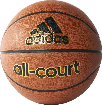 Bild von All-Court Basketball