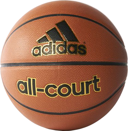 תמונה של All-Court Basketball