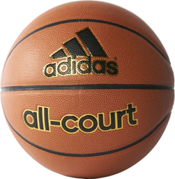 Bild von All-Court Basketball